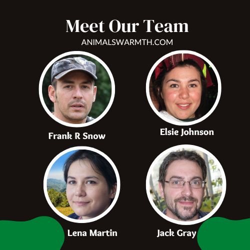 Meet Our Team - About Us