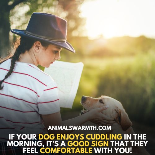 Dogs feel love when cuddle in morning
