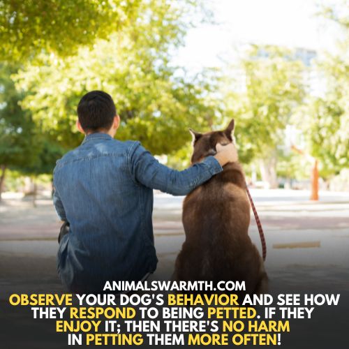 Pet your dogs if they enjoy them, otherwise avoid it.